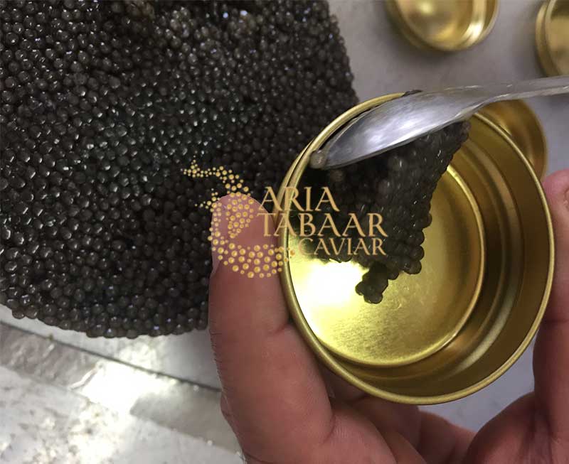 Iranian Beluga caviar